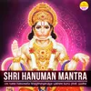 Om Namo Hanumate Bhaybhanjanaya Sukham Kuru Phat Swaha (Shri Hanuman Mantra)