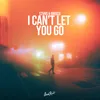 About I Can't Let You Go Song