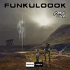 About Funkuloook Song