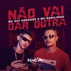 About Não Vai Dar Outra Song