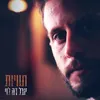 About תוויות Song