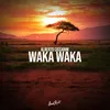 About Waka Waka Song