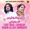 About Tere Naal Changay Haain Allah Janrdaye Song