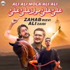 About Ali Ali Mola Ali Ali Song
