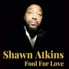 About Fool for Love Song
