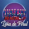 Leña de Pirul