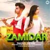 About Zamidar Song