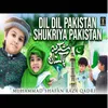 About Dil Dil Pakistan Shukriya Pakistan Song