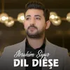 Dil Diêşe