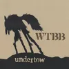About Undertow Song