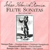 Flute Sonata No. 6 in B Minor