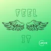 About Feel It Song
