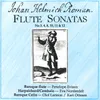Flute Sonata No. 3 in C Minor