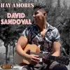 About Hay Amores Song
