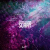 About Sorry Song