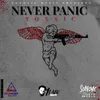 About Never Panic Song