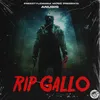 About Rip Gallo Song