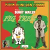 Fig Tree (Tribute to Bunny Wailer)