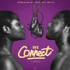 About We Connect Song