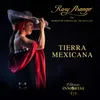 About Tierra Mexicana Song