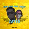 About Zateo Song