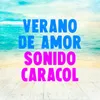 Verano de Amor