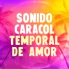 About Temporal de Amor Song