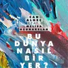 About Bu Dünya Nasıl Bir Yer? Song