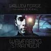 Wayfaring Stranger Radio Edit