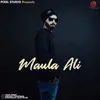 About Maula Ali Song