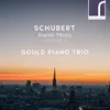 Piano Trio No. 1 in B-Flat Major, Op. 99, D898: I. Allegro moderato