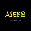 About Ajeeb Song