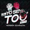 About Yo Se To Version Guaracha Song