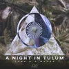 About A Night in Tulum Song