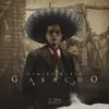 About Gabacho Song