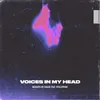 About Voices In My Head Song