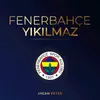 About Fenerbahçe Yıkılmaz Song