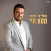 About מסע חיי Song