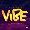 About Vibe Song