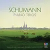 Piano Trio No. 2 in F Major, Op. 80: IV. Nicht zu rasch