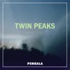 About Twin Peaks Song