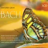 Partita in E Major BWV 1006a arranged from Partita No. 3 in E Major for solo violin BWV 1006: III. Gavotte en Rondeau