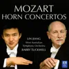 Horn Concerto No. 3 in E-Flat Major, K. 447: 2. Romanza: Larghetto