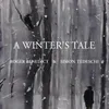 Winterreise, Op.89, D.911 - Arranged for Viola and Piano: 4. Erstarrung