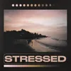 About Stressed Song