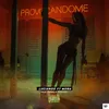 About Provocandome Song