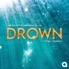 About Drown Song