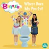 About Where Does My Poo Go? Song