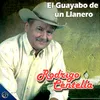 El Guayabo de un Llanero