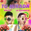 About Tu Mirada Song